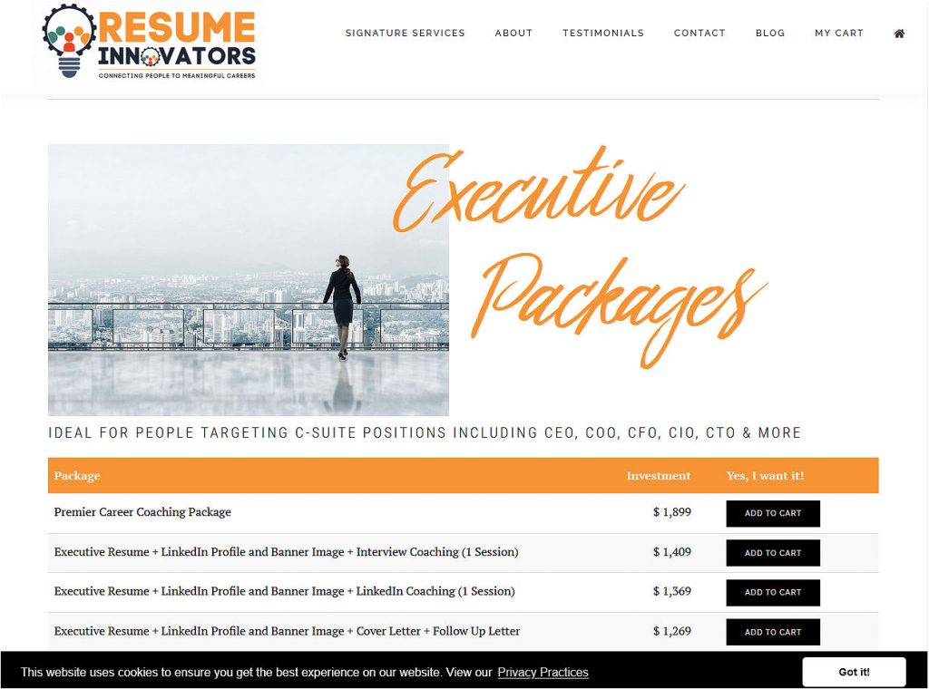 executive resume writing services